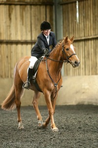 Isis Dressage Crown Farm Show 29th April 2012